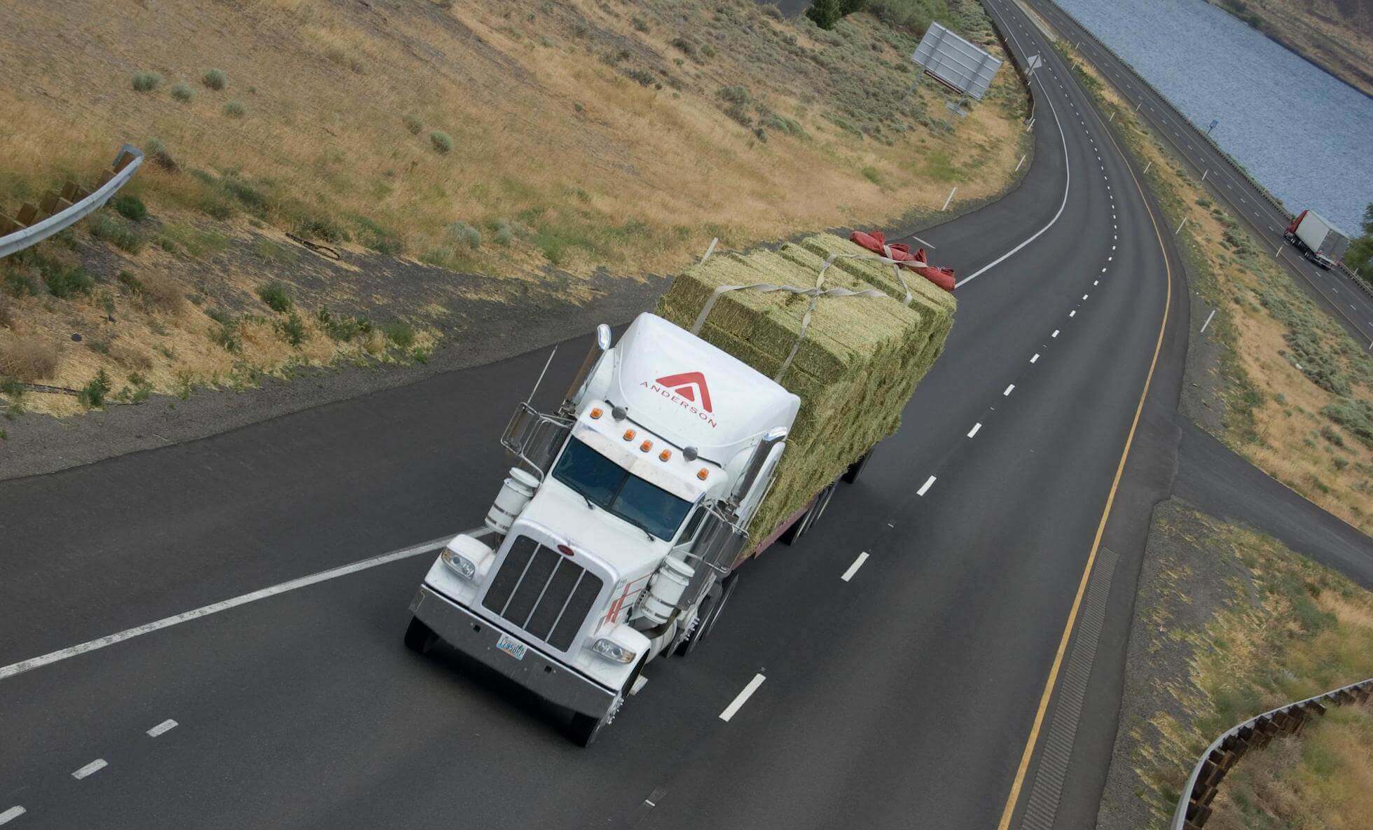 Domestic Truck carrying Hay