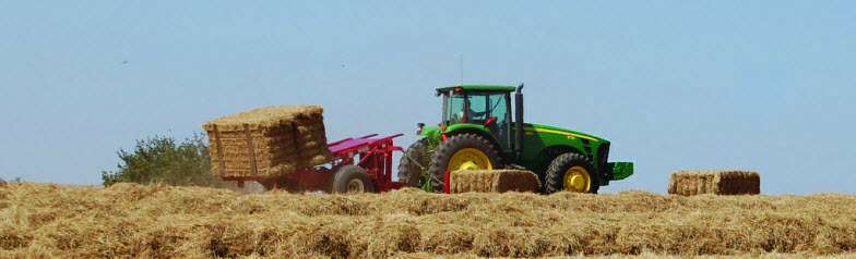 Grass Straw harvesting