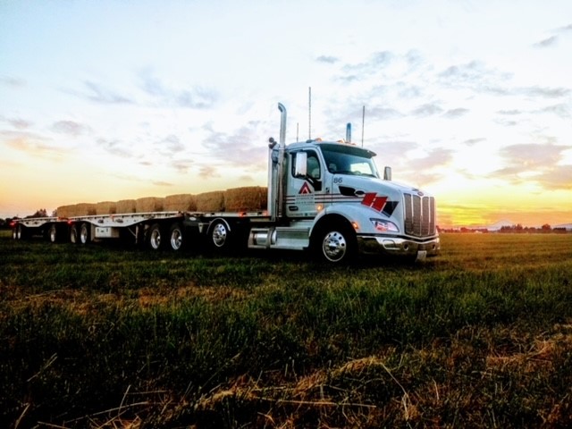 Anderson Hay truck in Straw field at sunrise